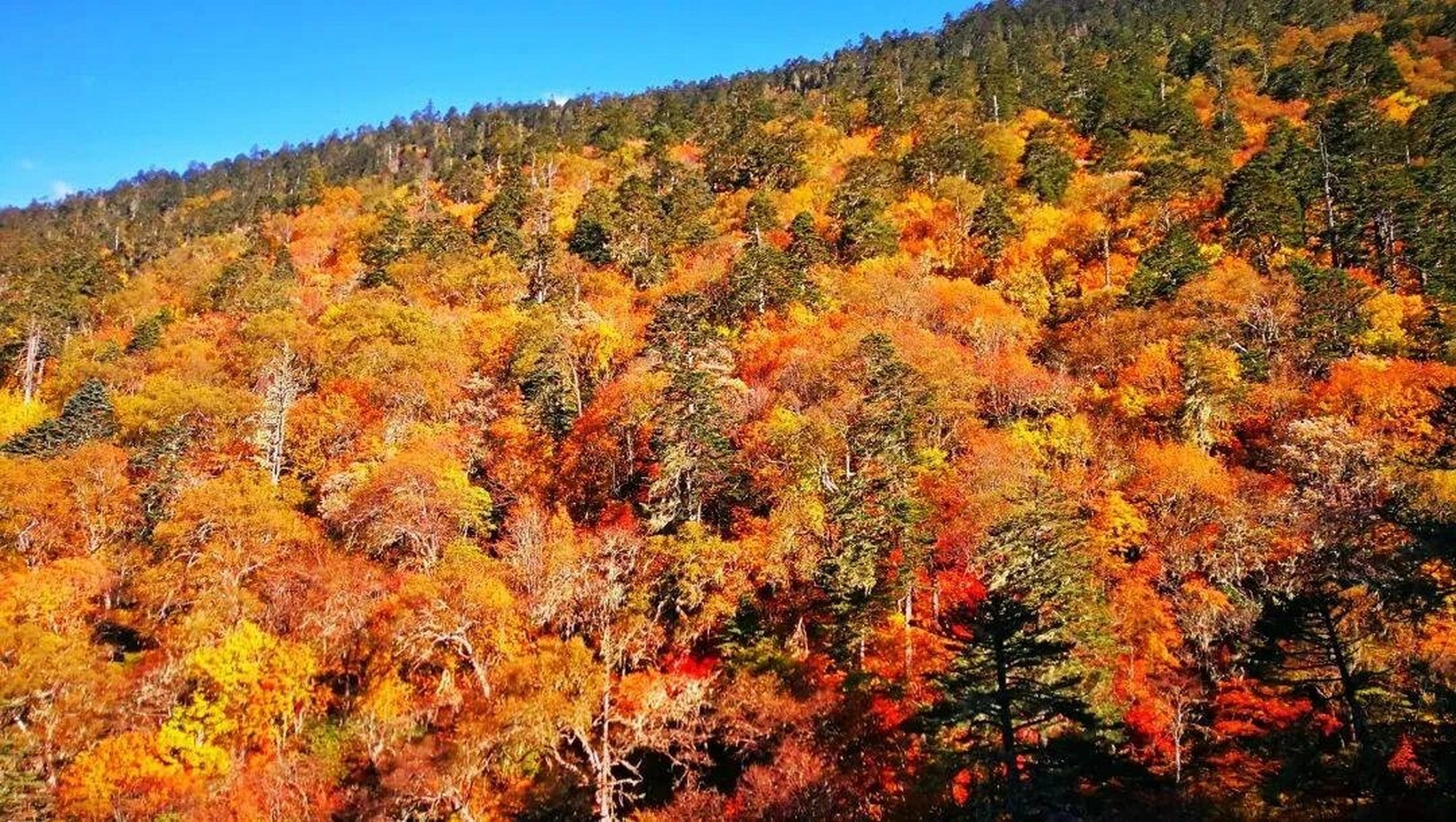 山不见我 ,我自去见山———云南怒江孔雀山 有一种生活叫云南的怒江