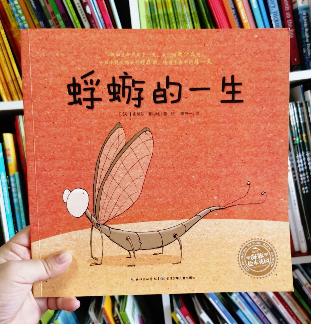 98《蜉蝣的一生》 7315【法】史蒂芬·塞内格 著/绘 02