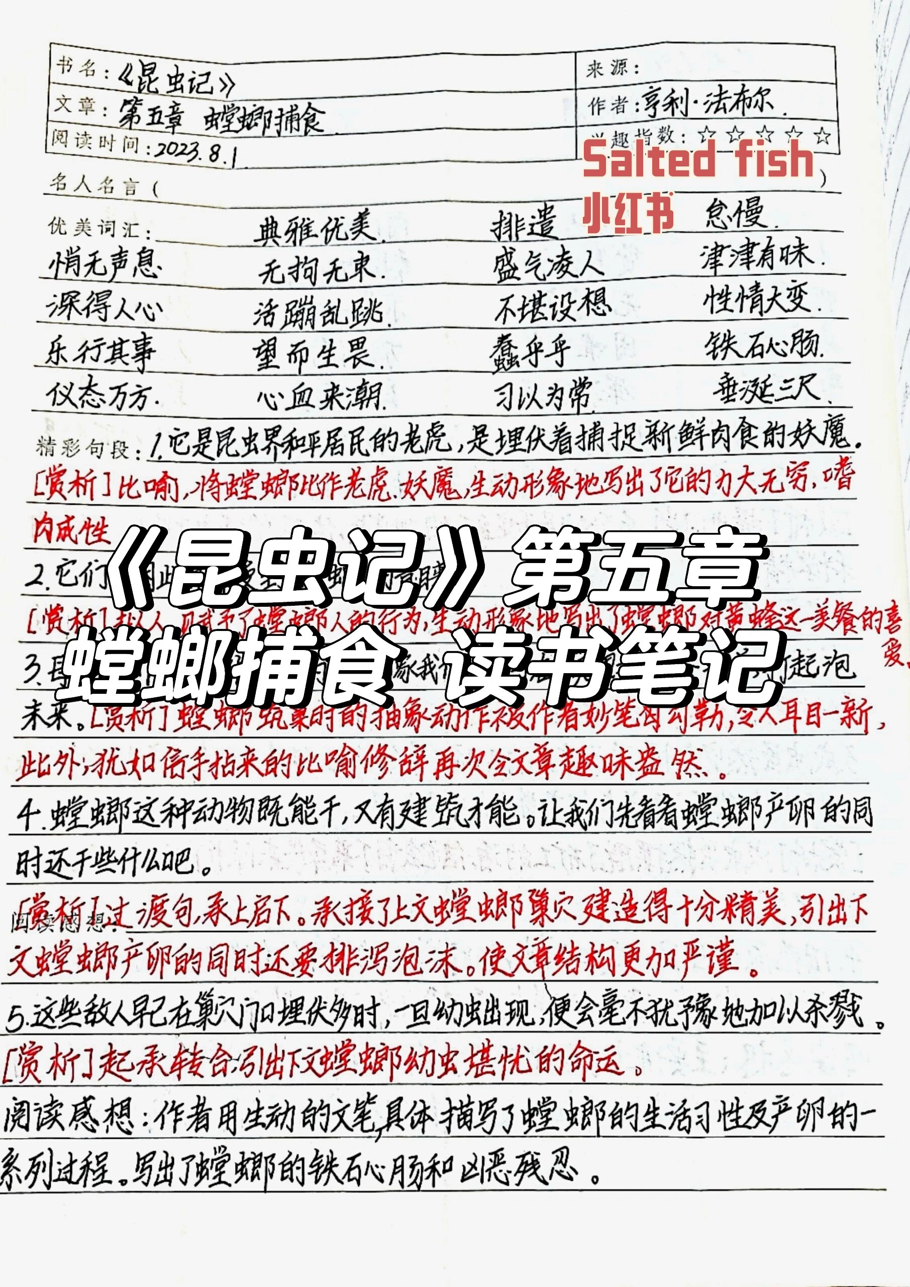 读书笔记昆虫记摘抄图片