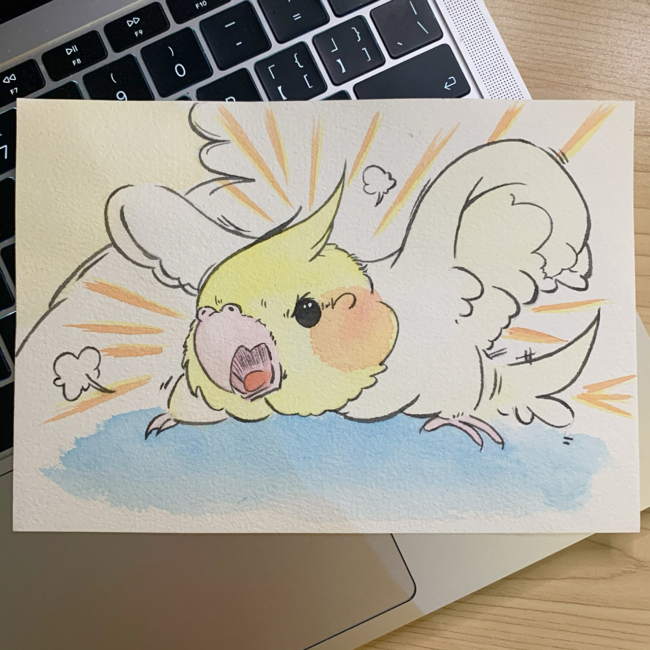 简笔水彩之玄凤鹦鹉 临摹了一张愤怒的小94 玄凤鹦鹉也太可爱了!