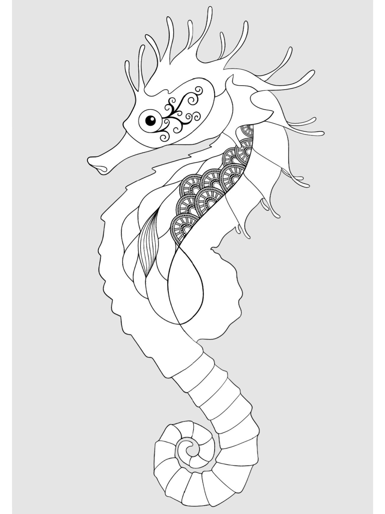 黑白装饰画--海马(内附步骤图)  在罗马和希腊,海马是海神波塞冬和