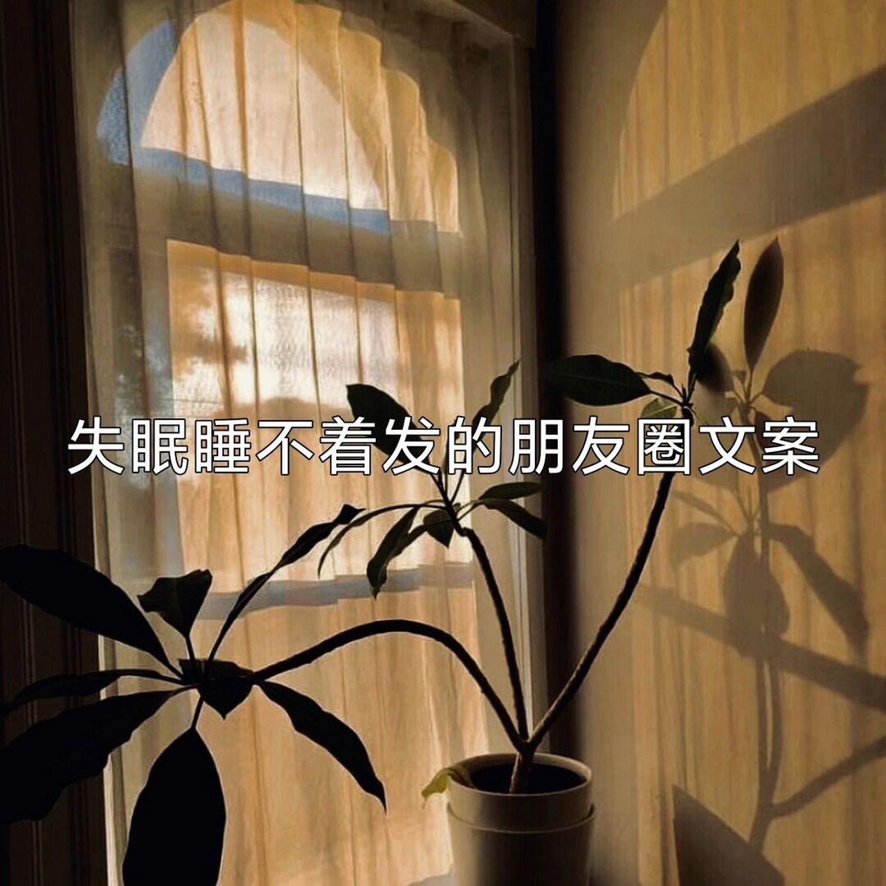 "失眠睡不着发的朋友圈文案" 1.