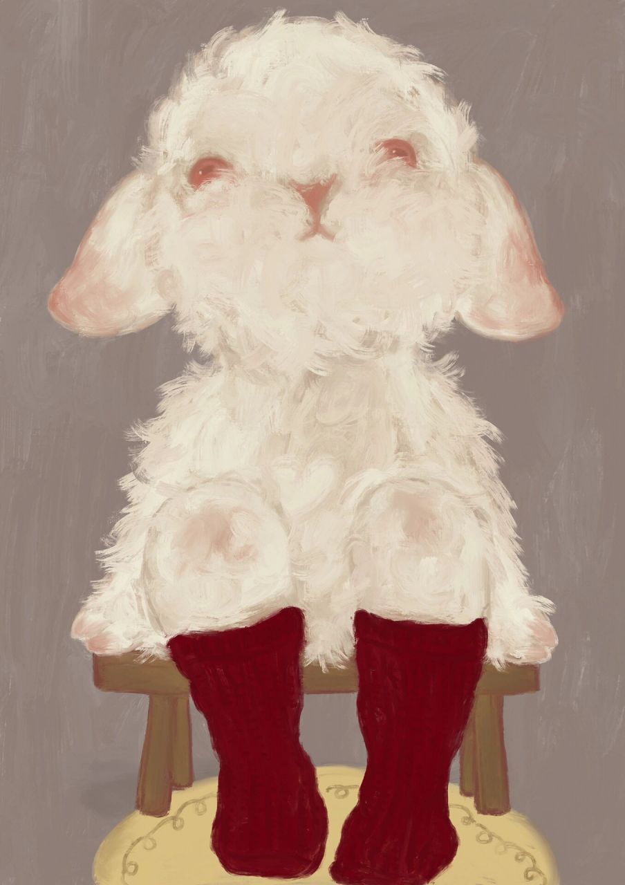 我有一双红袜子 柔软的,温暖的.