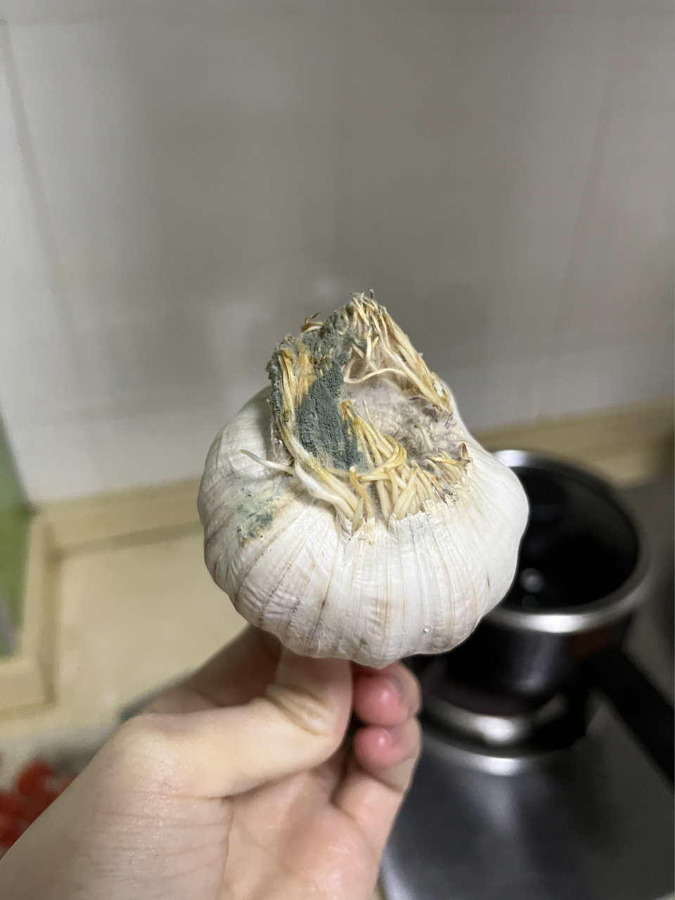 大蒜会发霉? 为什么一直放冰箱里的大蒜发霉了,还能吃吗?
