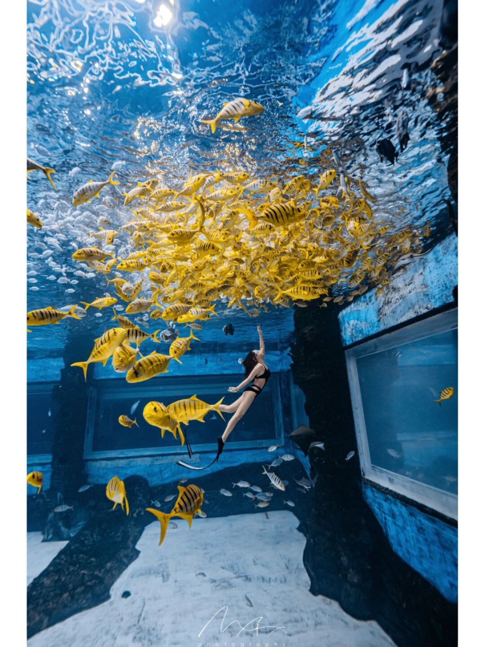 自由潜水|潜水员的朋友圈文案 7815人生在一念之间,自潜在一息