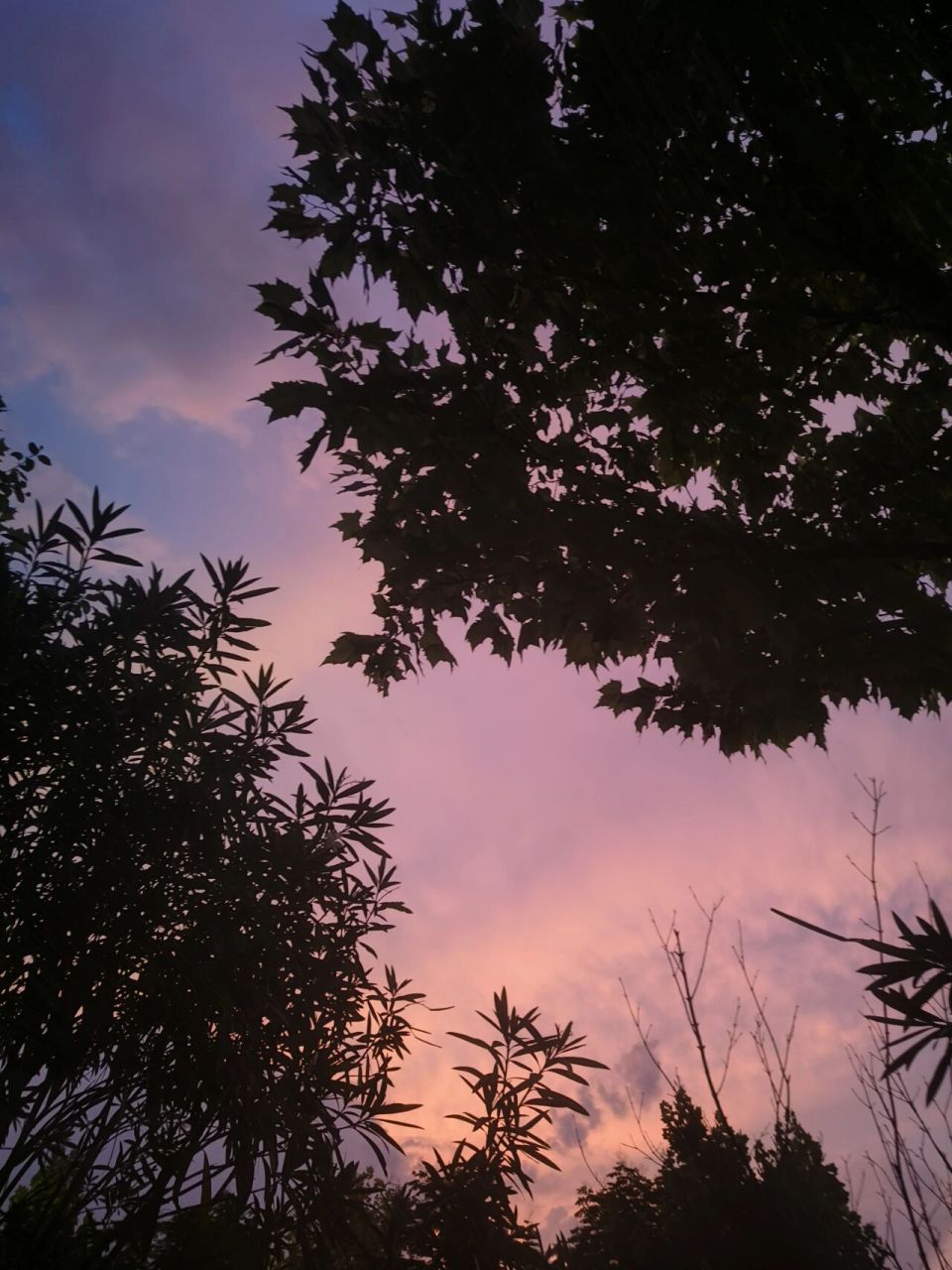 十堰天气～ 咱就是说,十堰这个天气你们一个月空调费都多少啊～我一个