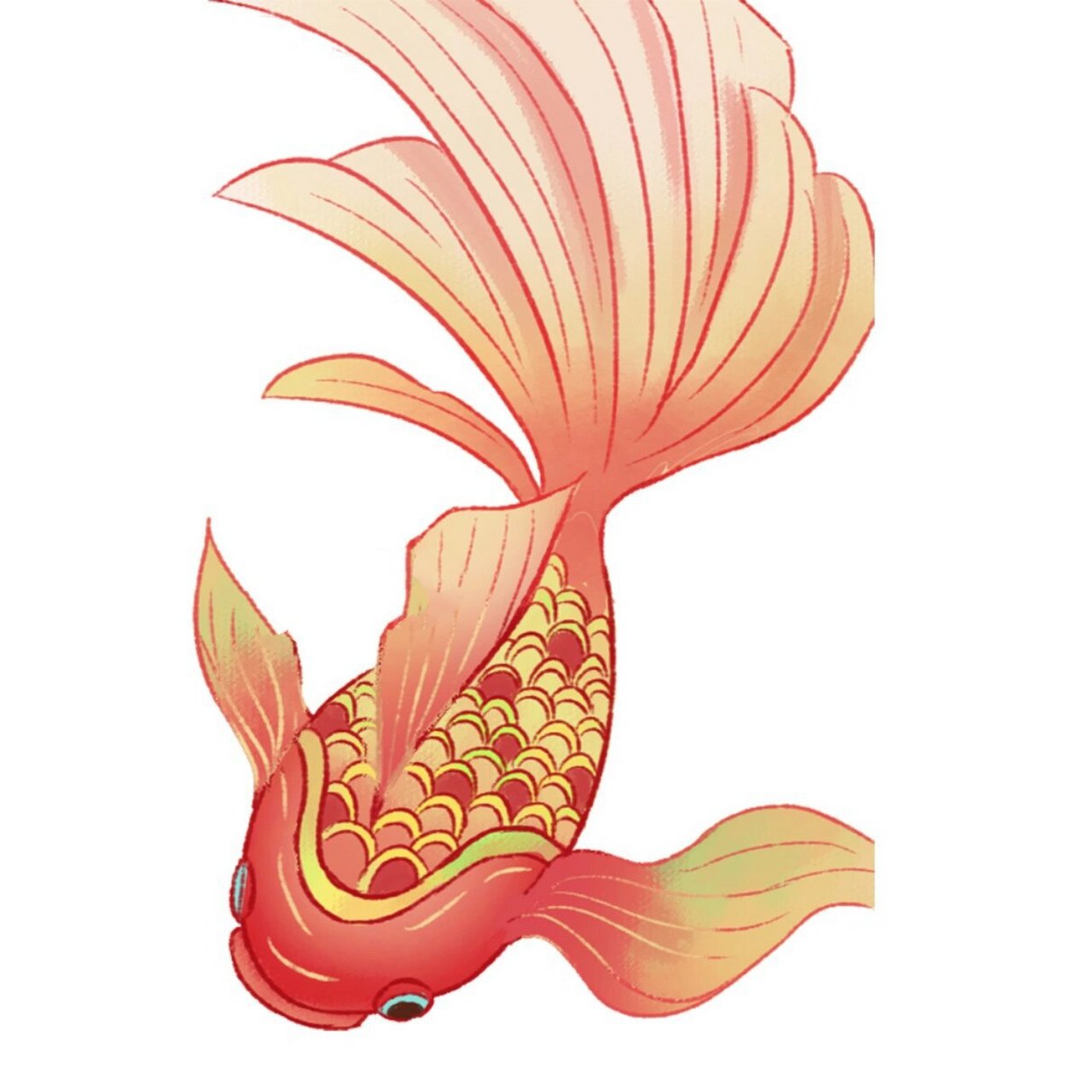 免抠素材‖绘画‖各类锦鲤手绘合集分享 今日打卡🕗转发锦鲤🙏