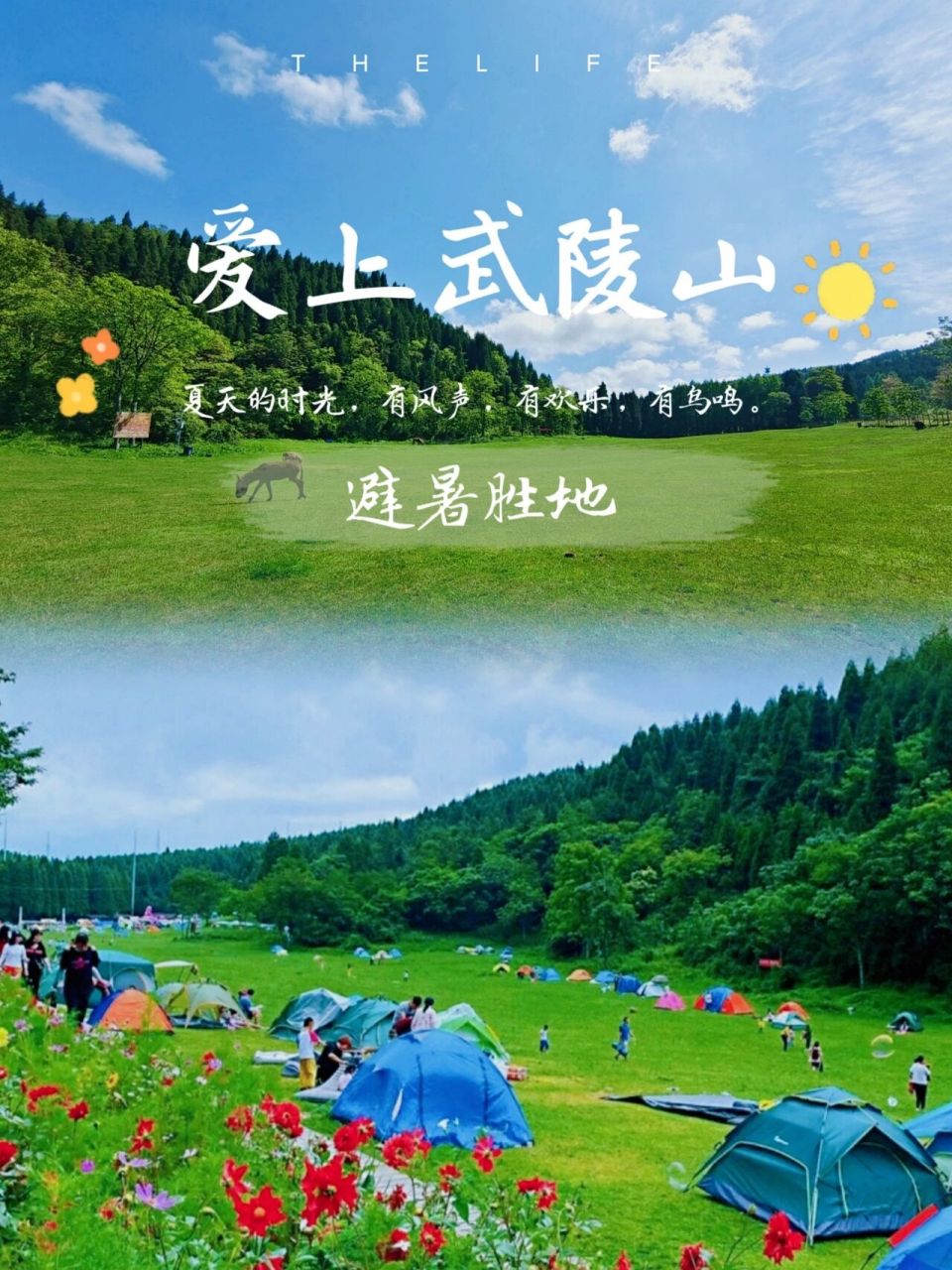武陵山森林公园详情攻略,请点赞收藏哟～ 最近好多朋友找我咨询武陵山