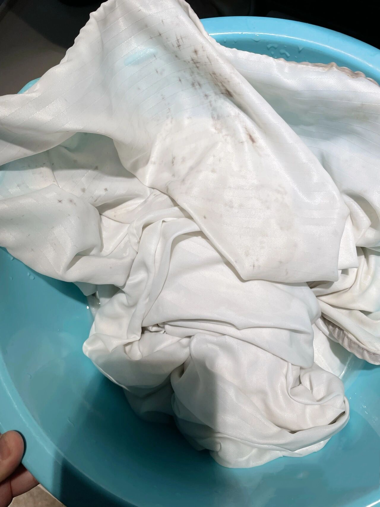 卫生间浴帘发霉清洁处理大法好 84消毒液兑水浸泡,泡一会搓洗一下, 这