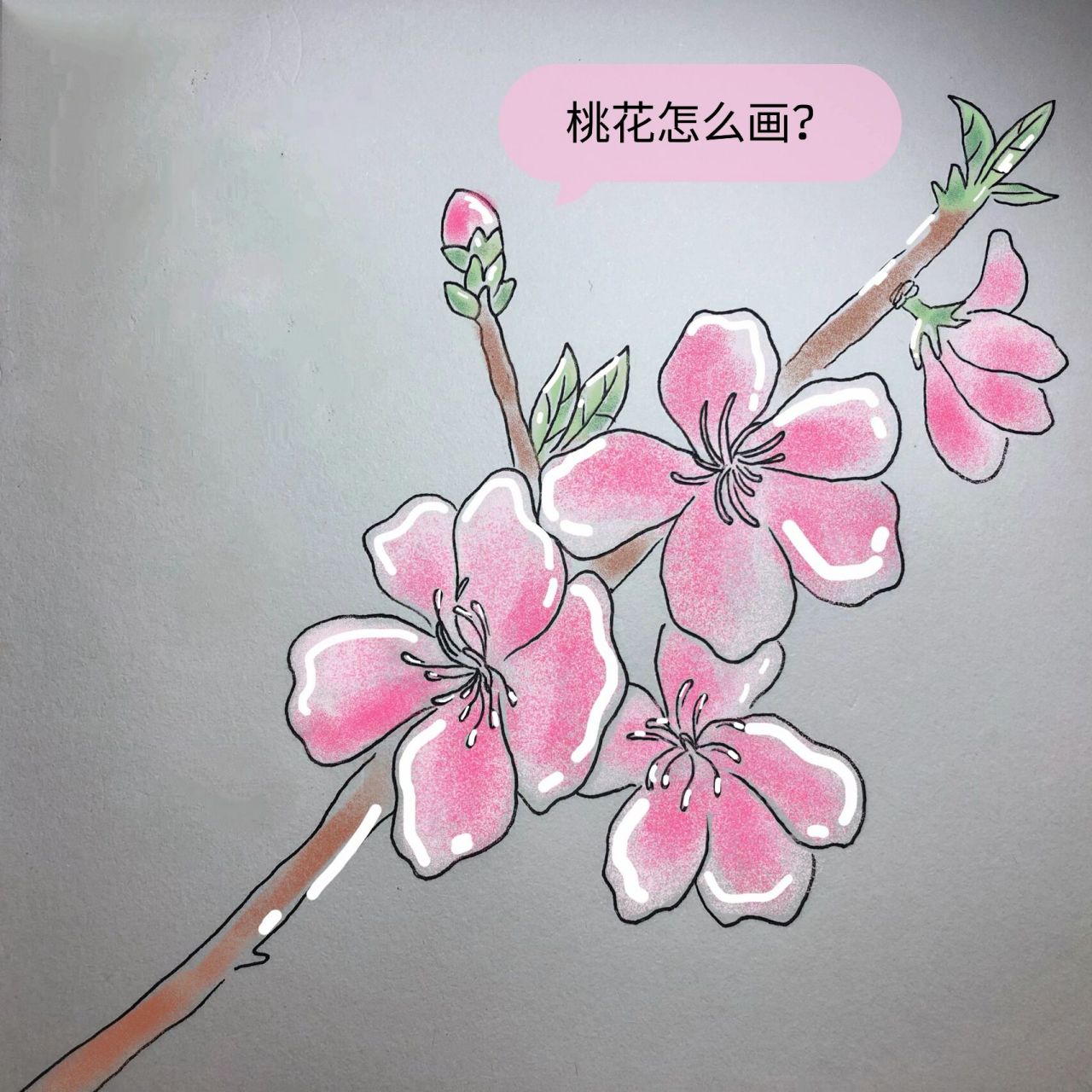 简笔画|一枝桃花(内附教程73) 桃花简笔画教程来啦～ 喜欢的友友