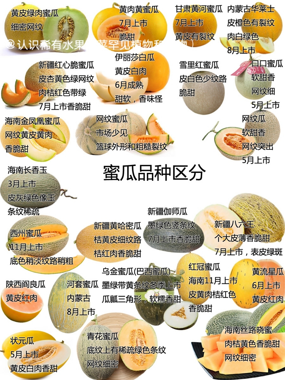 只知道哈密瓜?