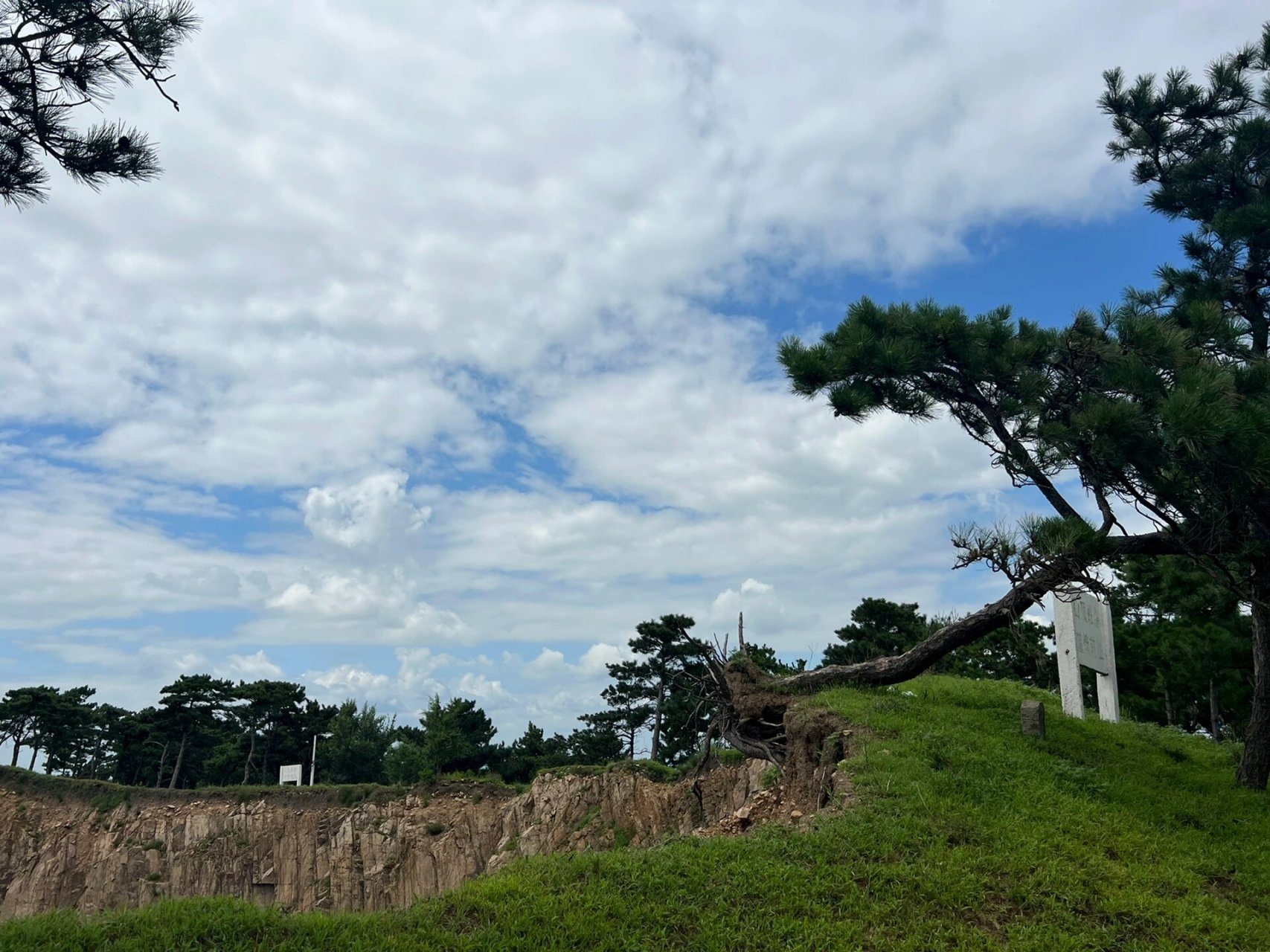 沈阳七星山旅游风景区 你敢相信这是沈阳 太美了 路上有个吃驴肉的