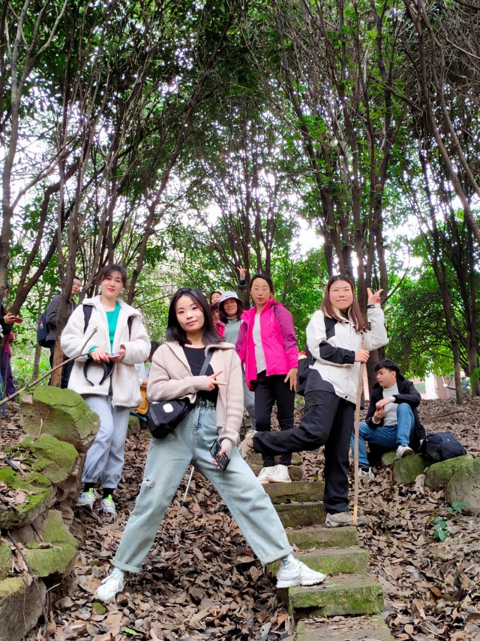 徒步爬山|寨山坪森林公园   每周一山徒步计划