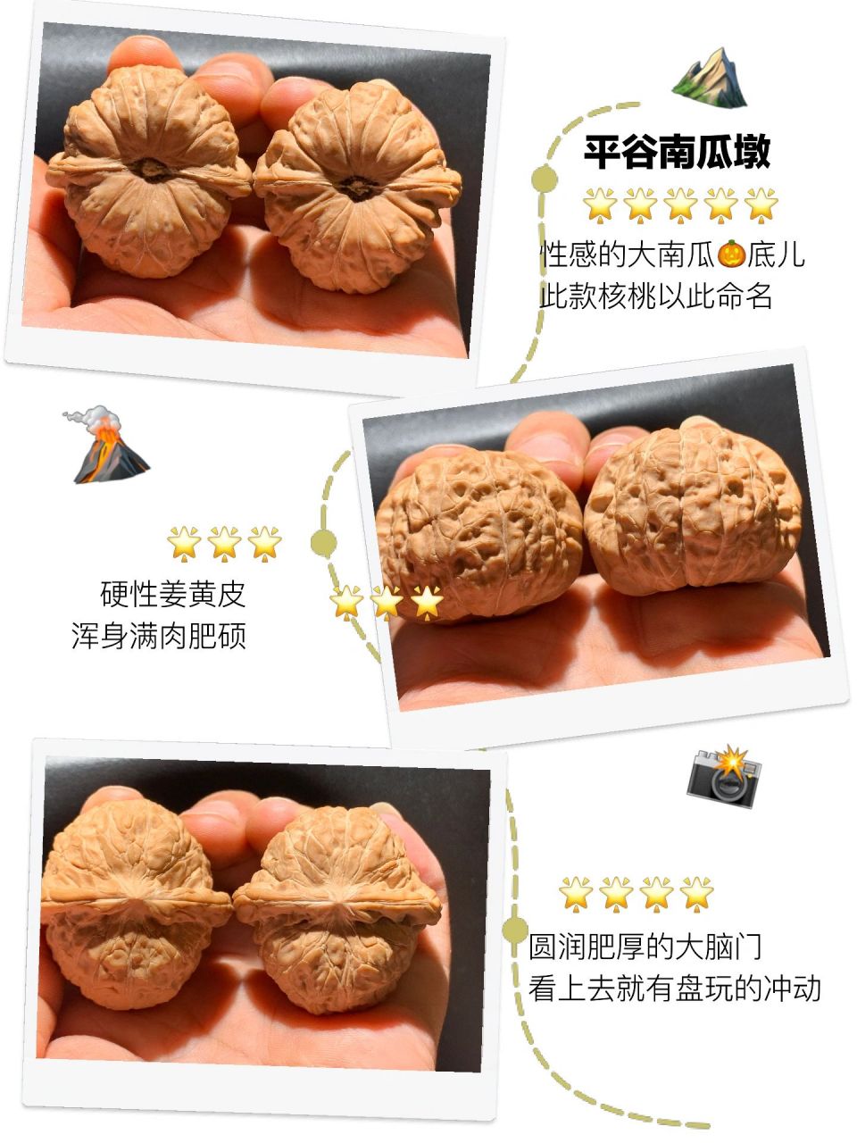 以底命名的文玩核桃:南瓜墩99性感肥美!