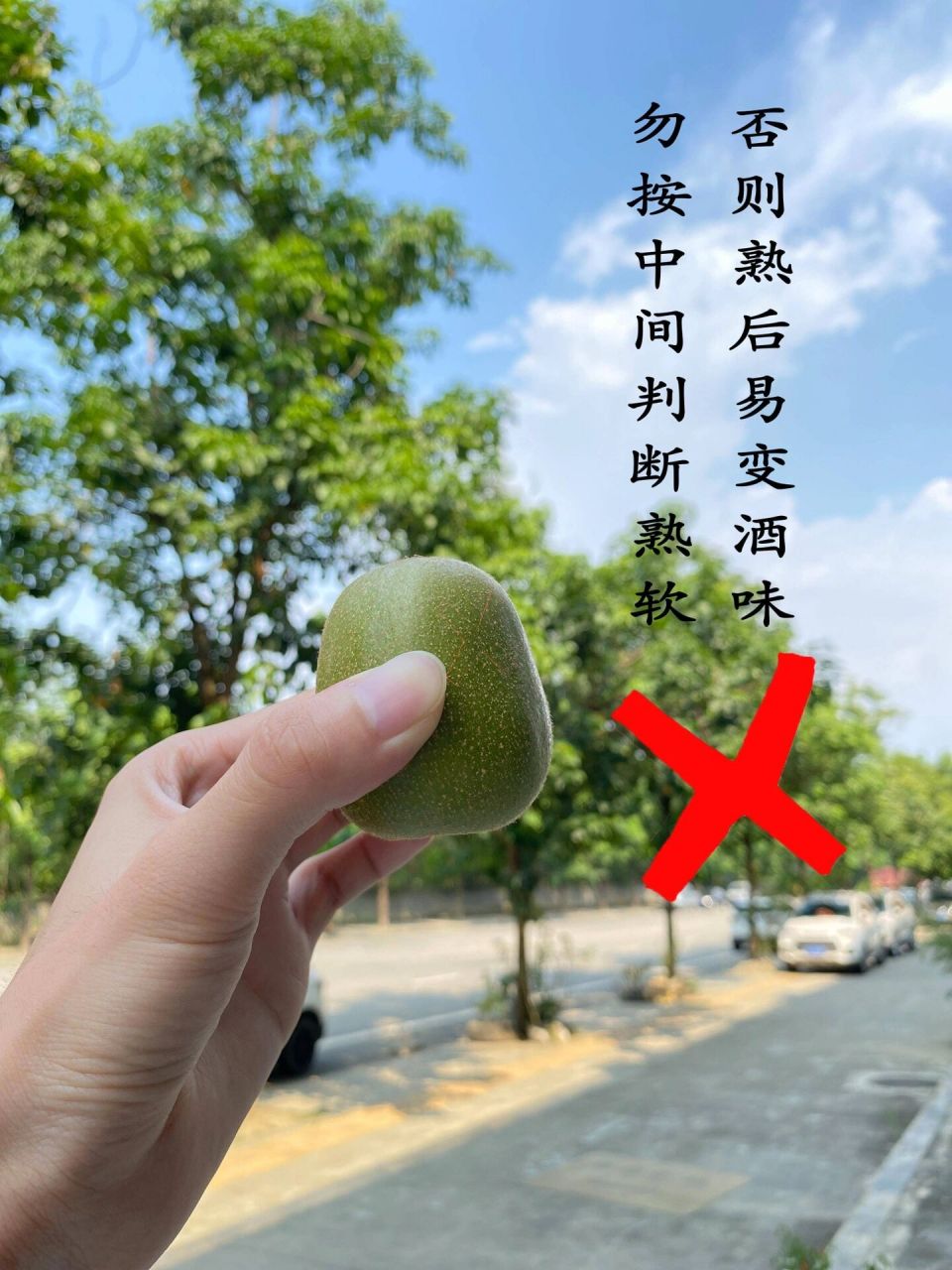 07猕猴桃催熟宝典!