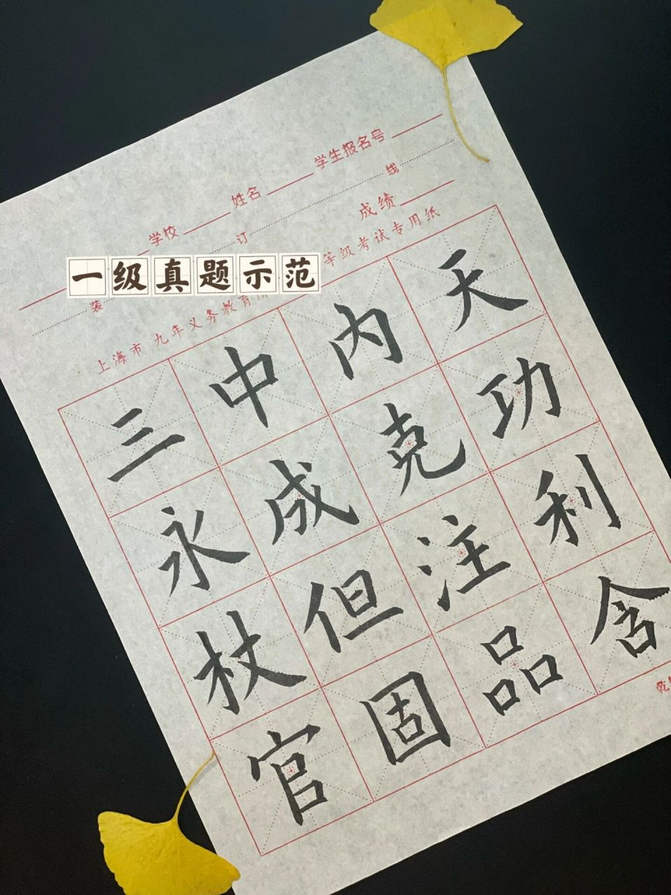 99上海市写字等级考试【一级&二级】真题示范 99我们现在看到