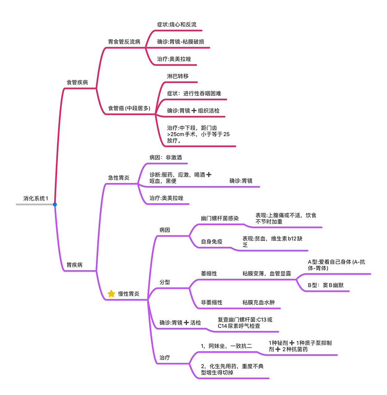 消化系统思维导图 持续更新