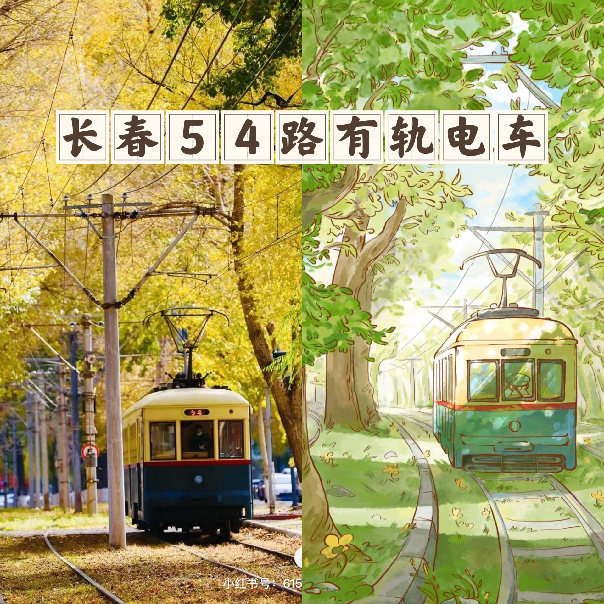 画下长春的一百个角落|54路有轨电车