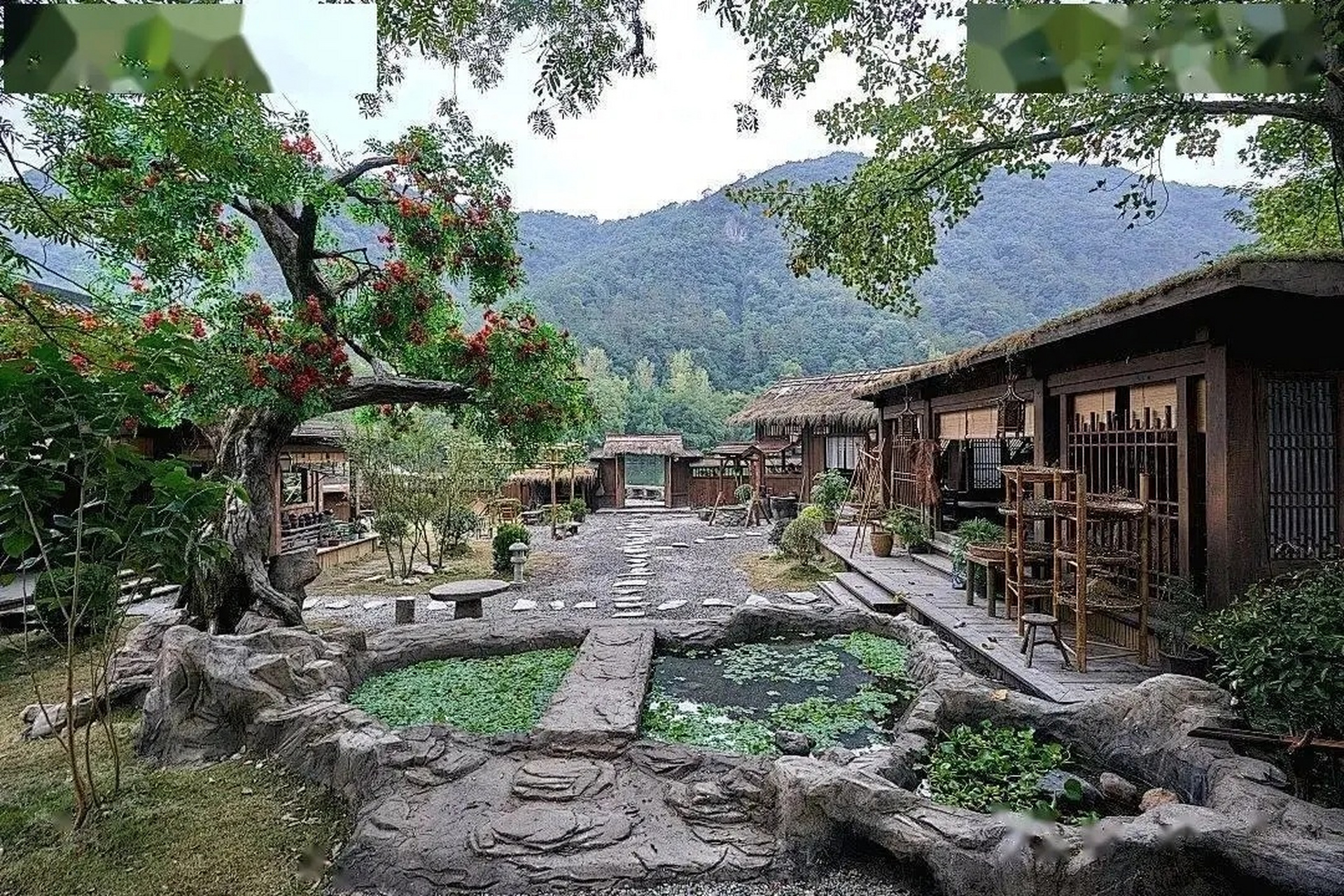 仙都景区今天发布通告:自6月9日以来,缙云持续降雨,好溪水位上涨,为了