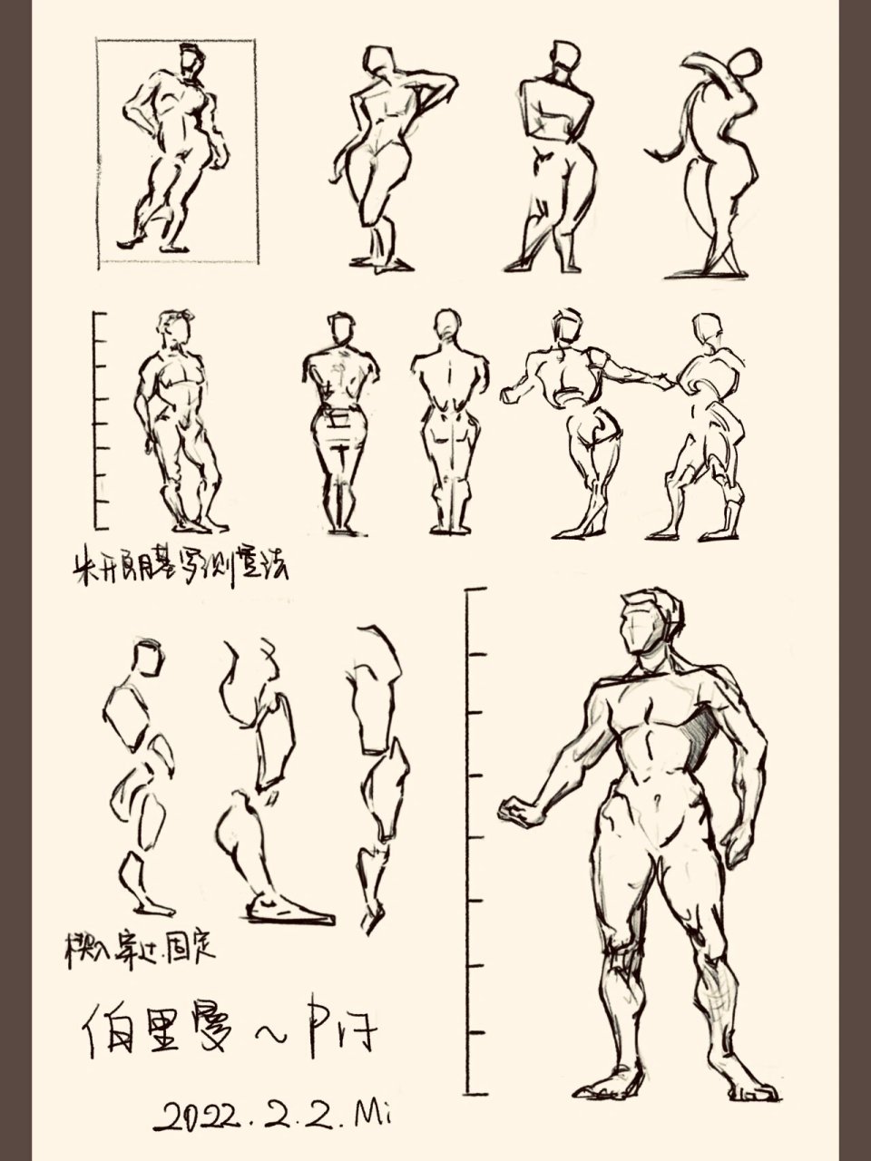 伯里曼人物结构 身体图片