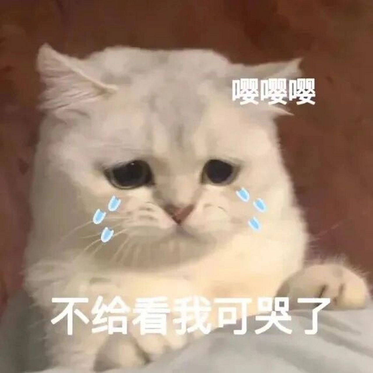 情侣表情包 我要看腹肌       图源网络侵删