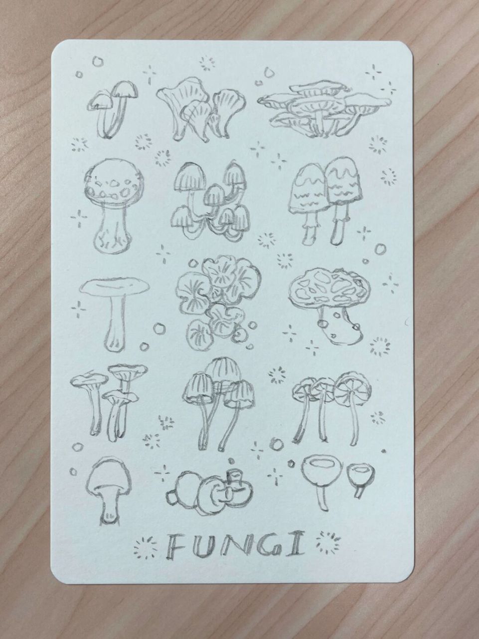 菌类类简笔画图片