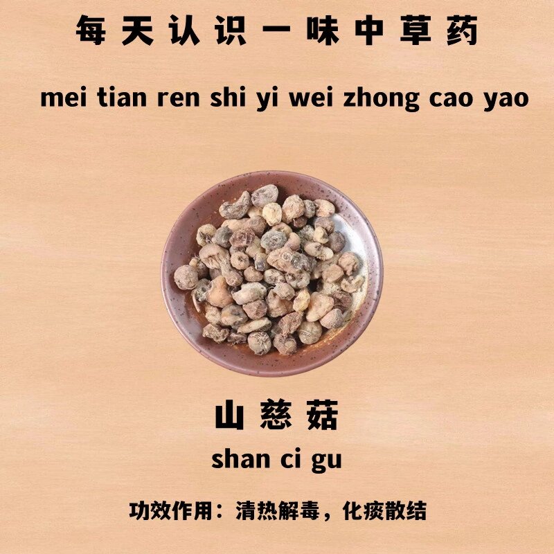 一泽识百草---山慈菇