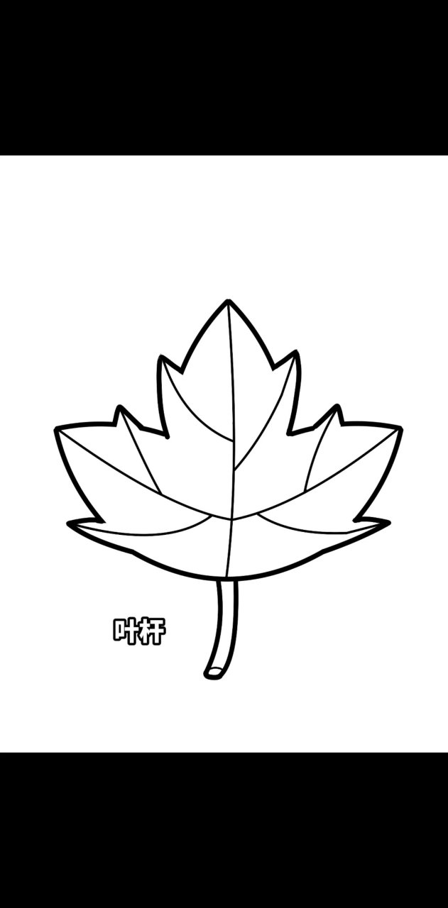 立秋枫叶简笔画 93立秋了,秋天94,悄然来了,带着光影斑斓7715