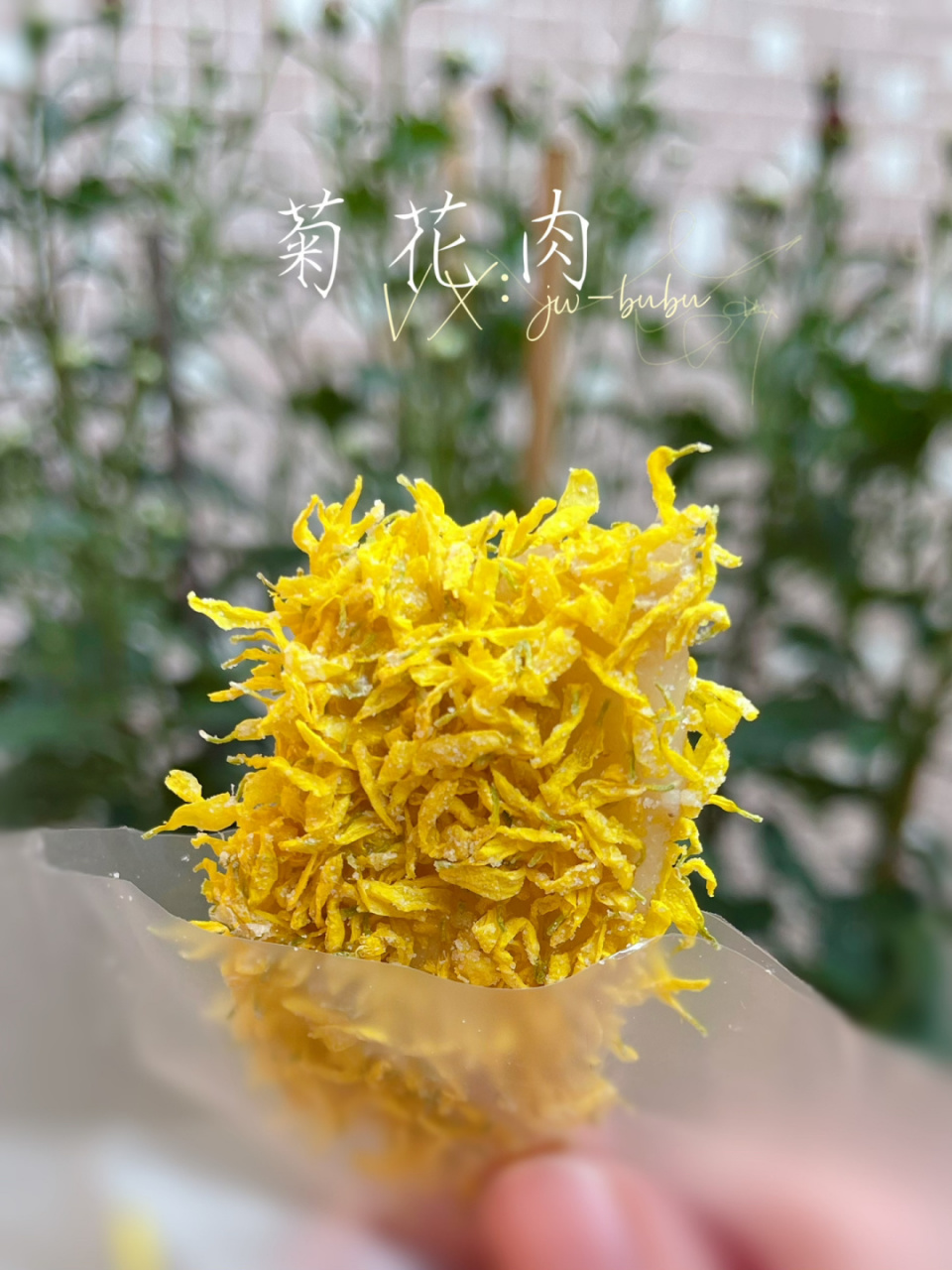 自家制菊花糖,菊花肉~ 每年12月开卖…卖完就没 #菊花# #小榄美食