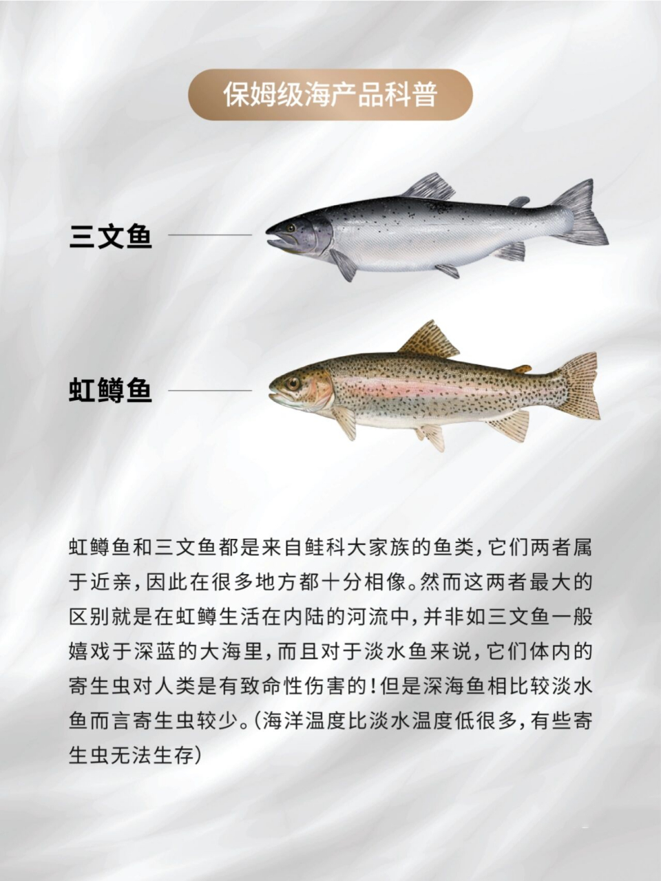 三文鱼跟虹鳟鱼区别图片