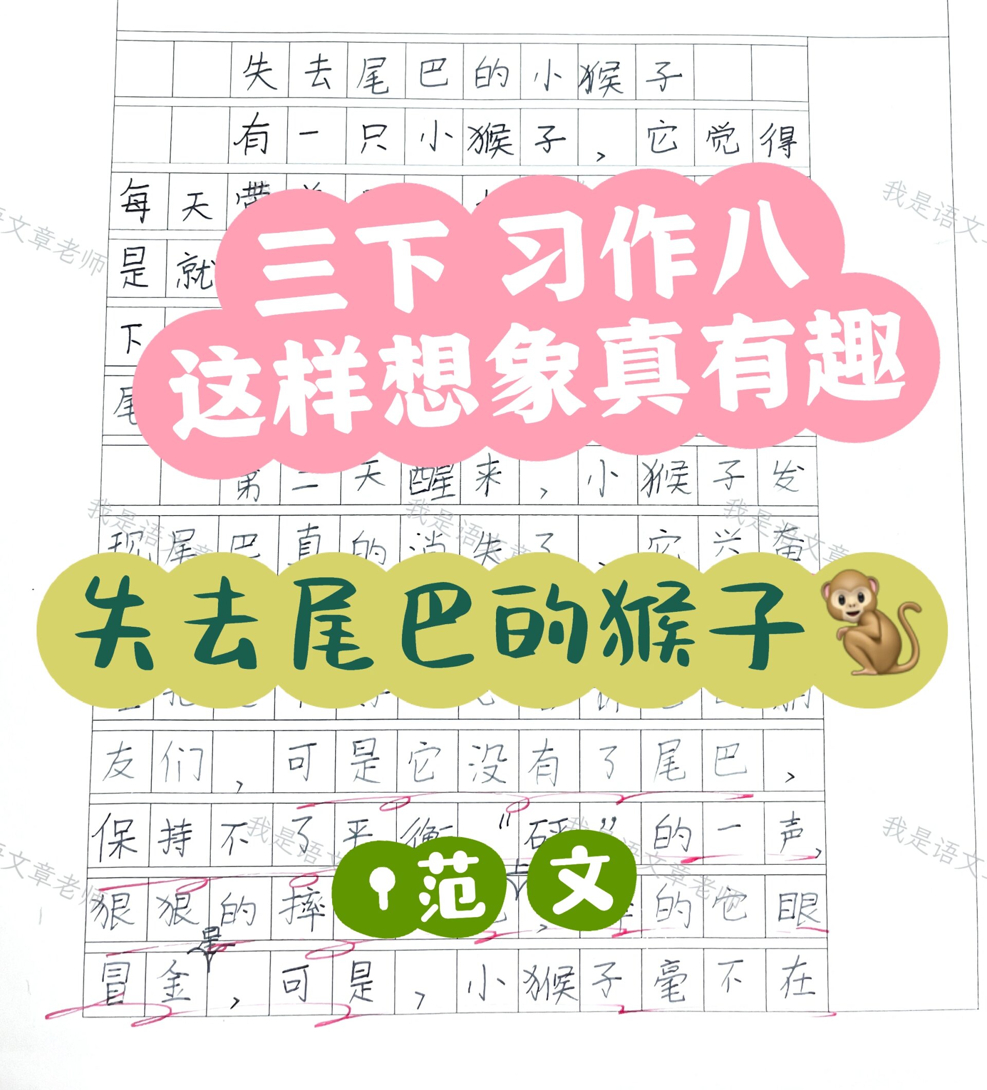 猴子的尾巴弯