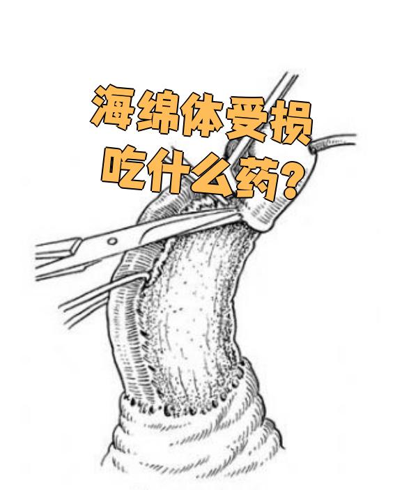 用手过度导致海绵体受损怎么恢复的简单介绍 用手太过导致海绵体受损怎么规复的简单先容（经常用手导致海绵体受损） 磁力资讯