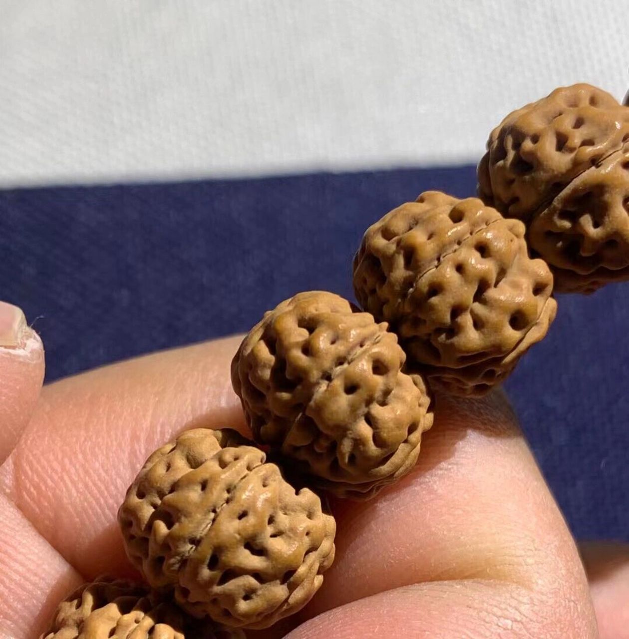 老树王小金刚单圈 太硬了这籽 顶级老树王,尺寸12 13 14mm,龙脊连贯瓣