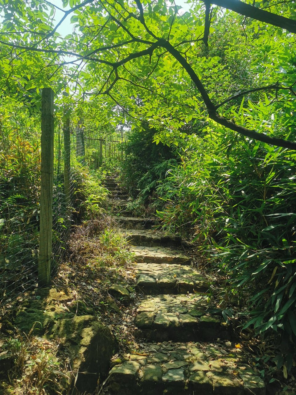 慈溪五磊山风景区避暑休闲游 景区沿途分布着濯心亭,蛇潭,四维平台