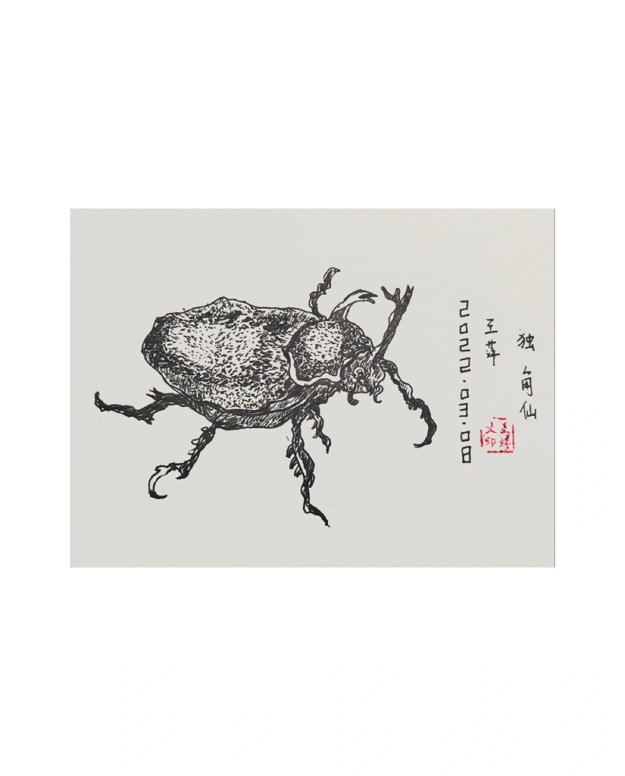 独角仙——线描 独角仙全身黑,不太好控制.