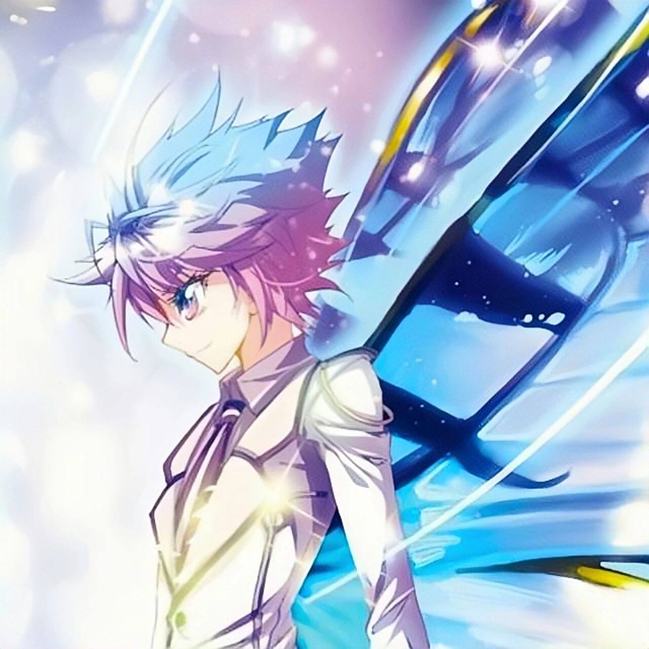 王冬头像     自截,抱留.