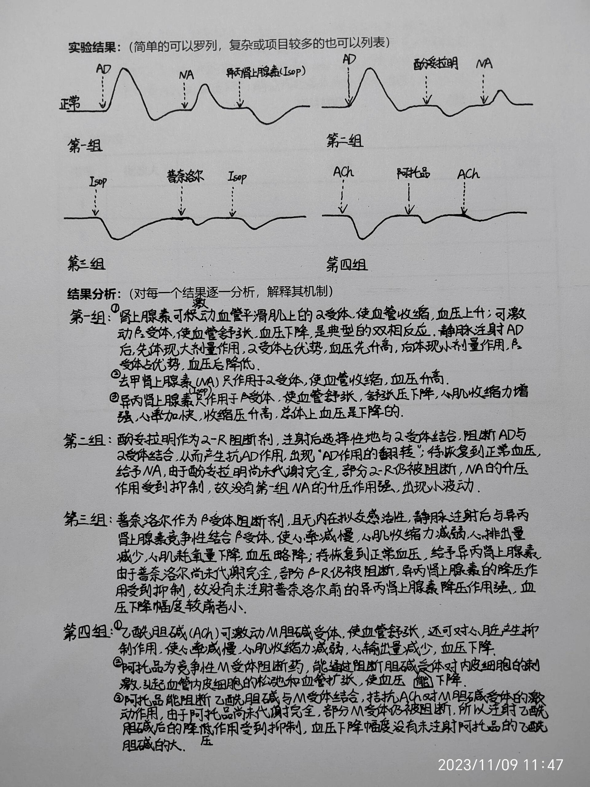 家兔正常血压曲线图图片