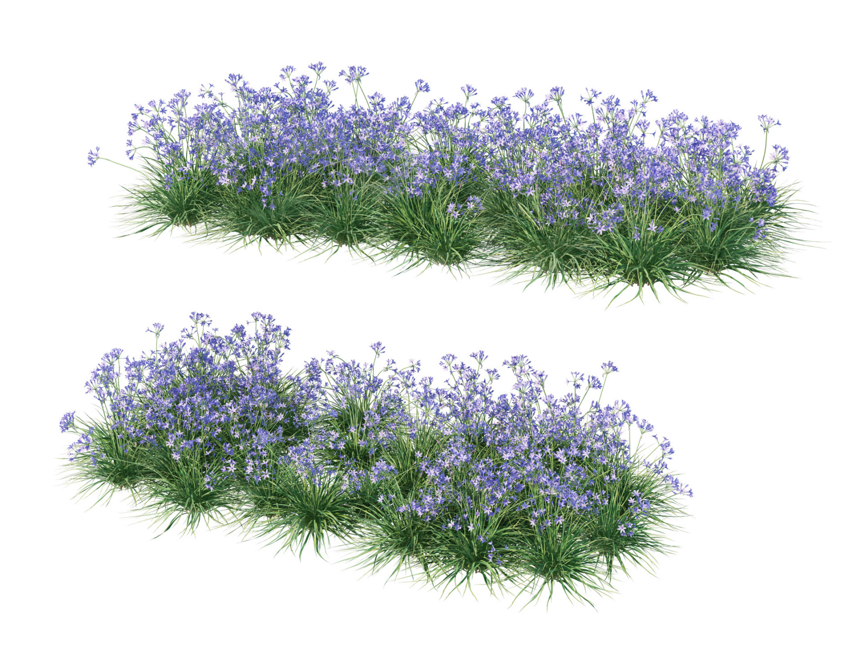 超精美景观植物灌木带psd源文件