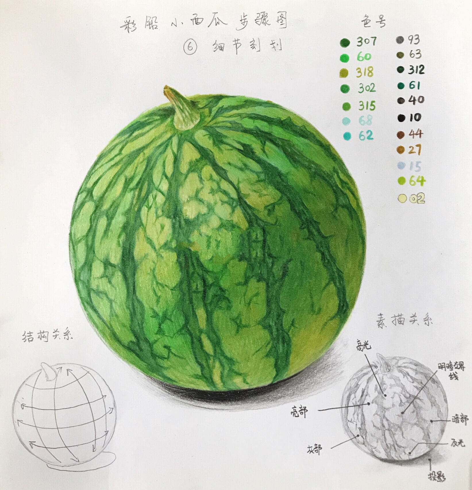 彩铅画 西瓜步骤教学 深度解析