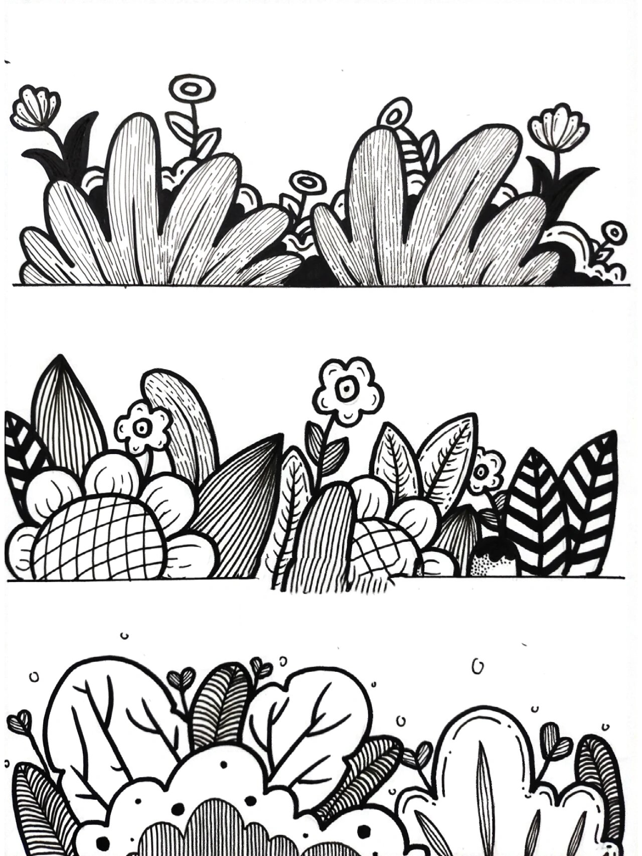 黑白线描画打卡day43 今日给大家分享简单的草丛练习 没基础的也可以