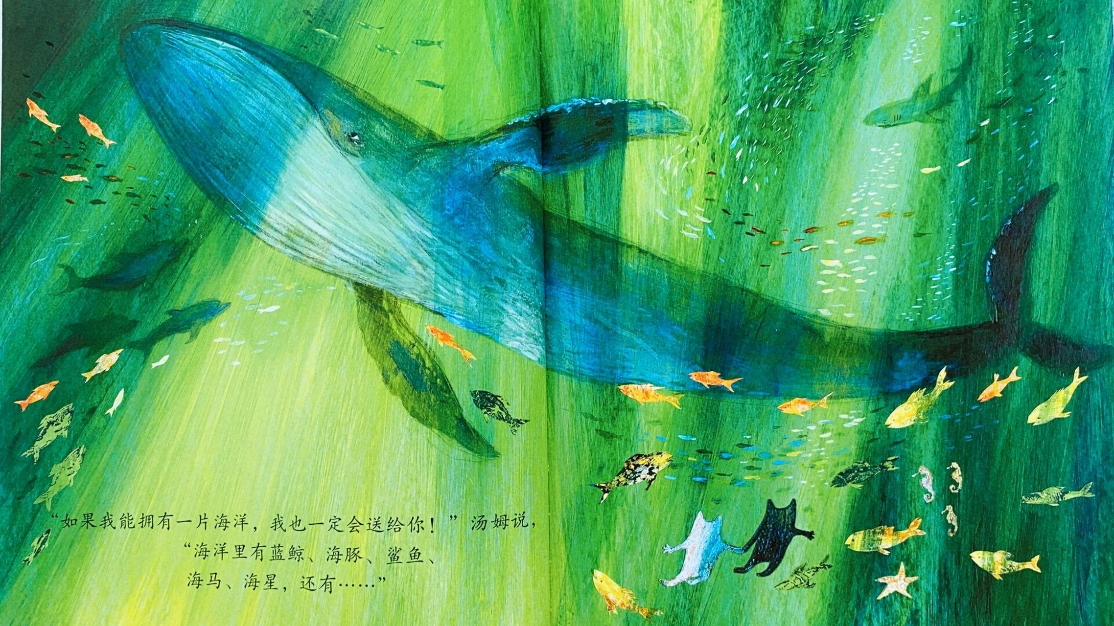 绘本推荐|《最好的礼物》赏析 收到《最好的礼物》这个绘本,出乎我