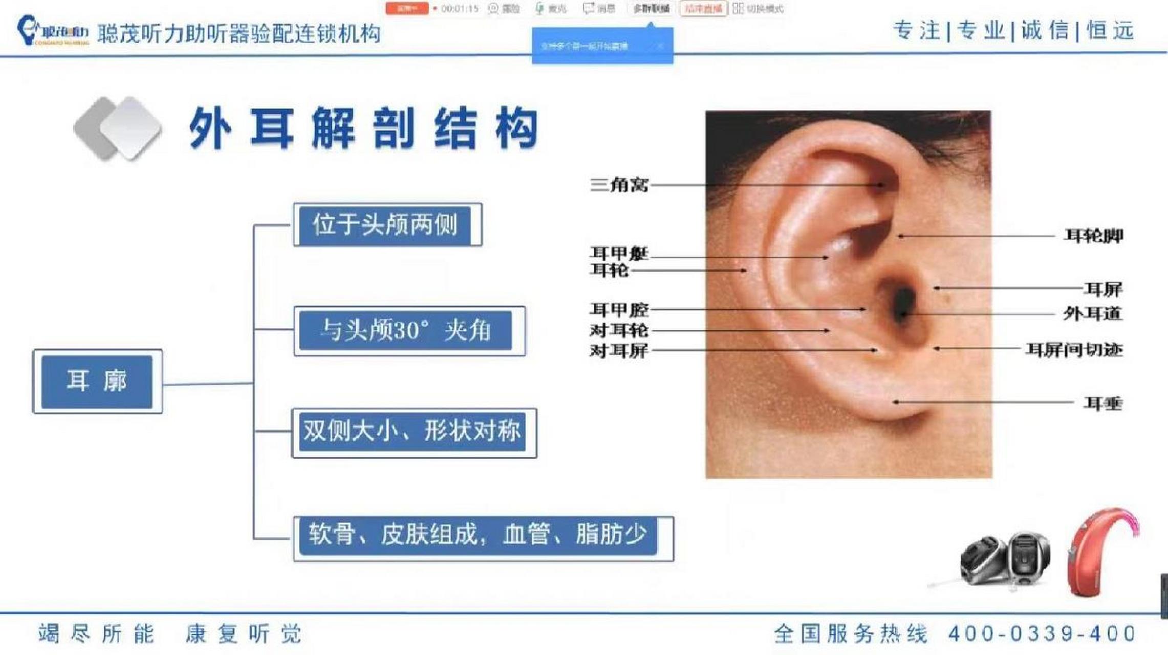 耳朵部位图解大全图片