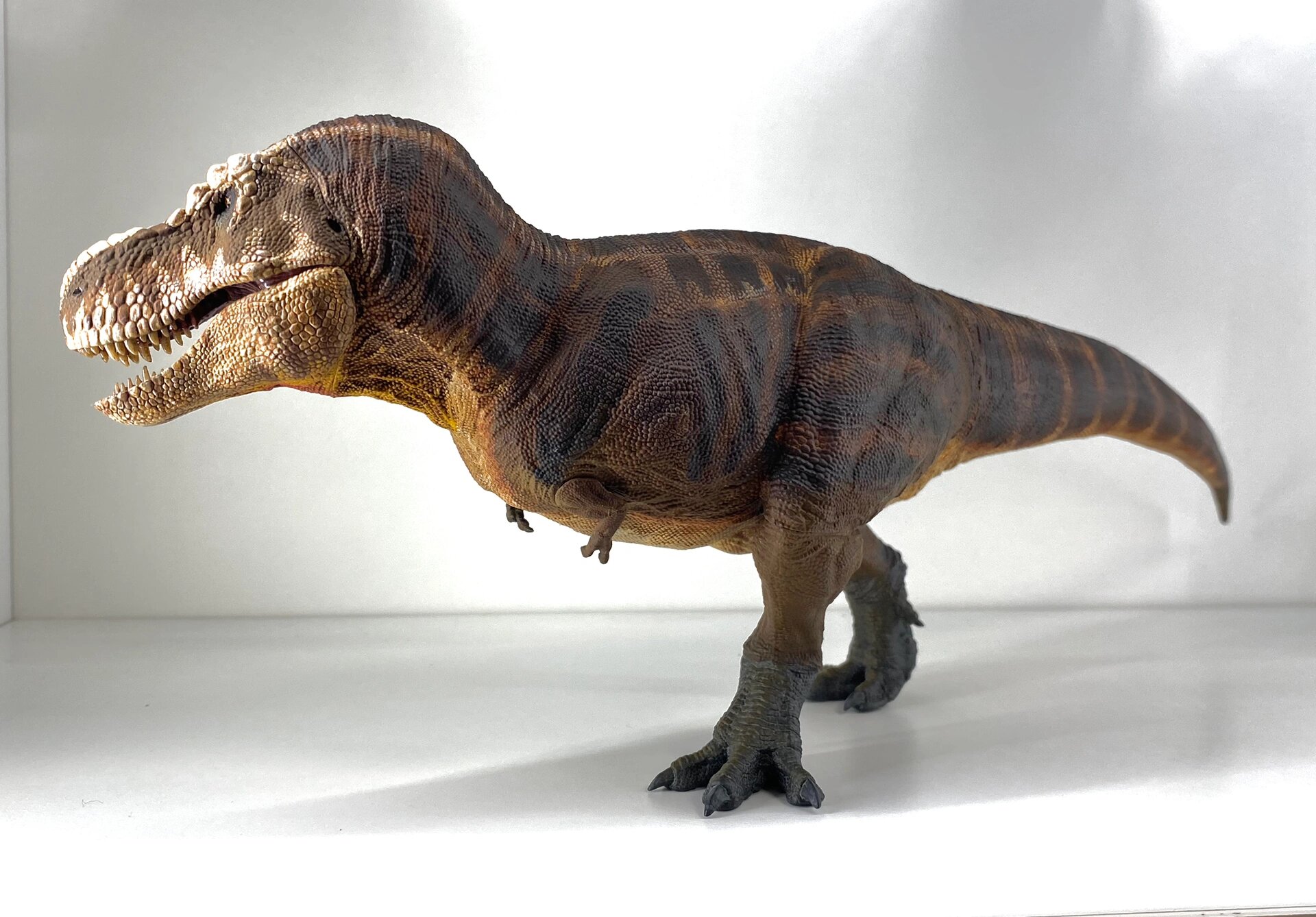 rebor科学复原霸王龙重涂 模型底子好 重涂以后效果拉满 史前星球配色