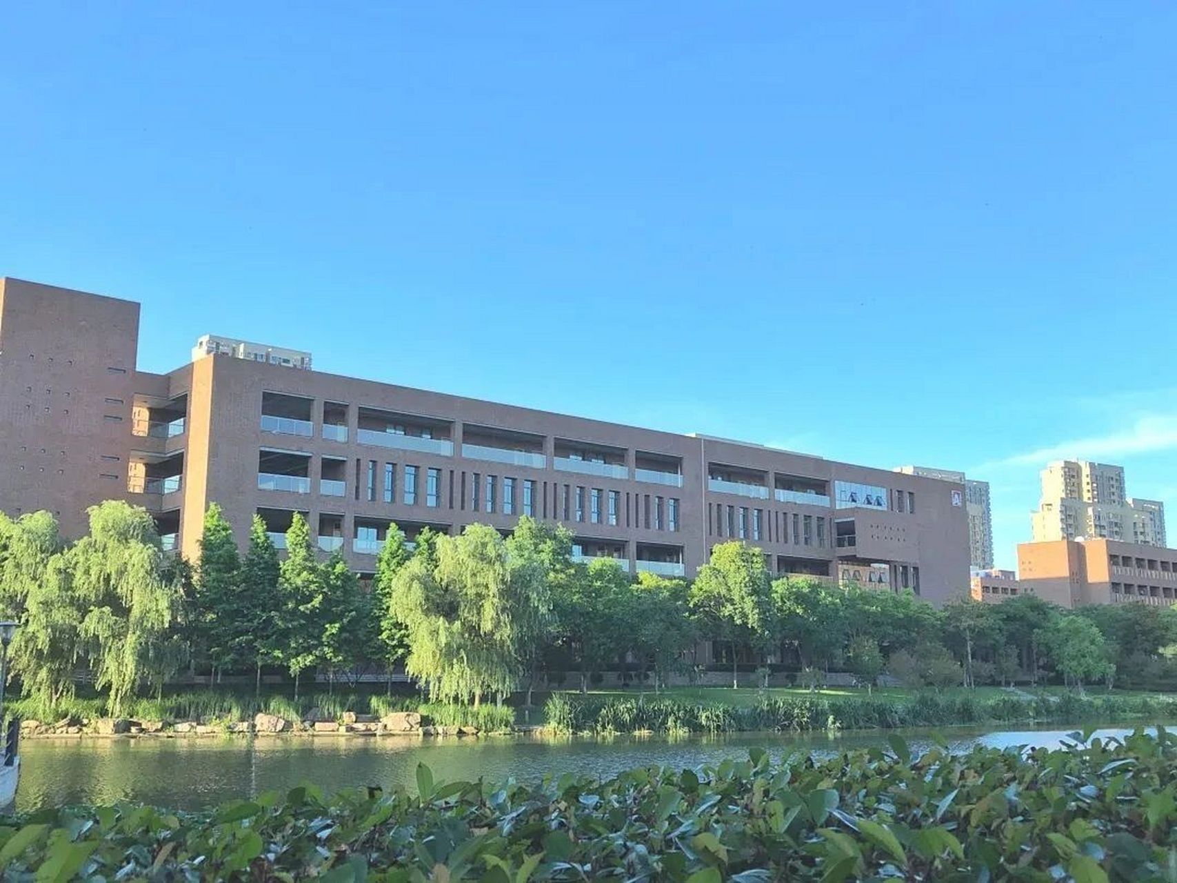 宁波四大名校之蓝青中学.