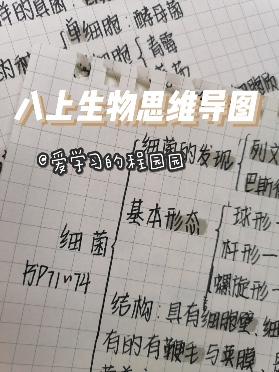 八上生物第四章《细菌与真菌》思维导图 大家晚上好 我承认,这次笔记