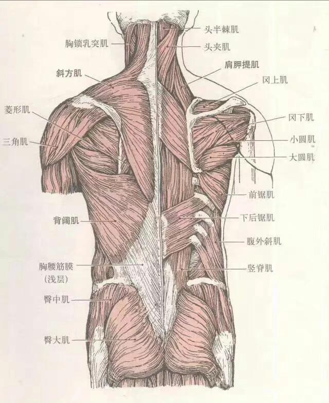 对照这张图