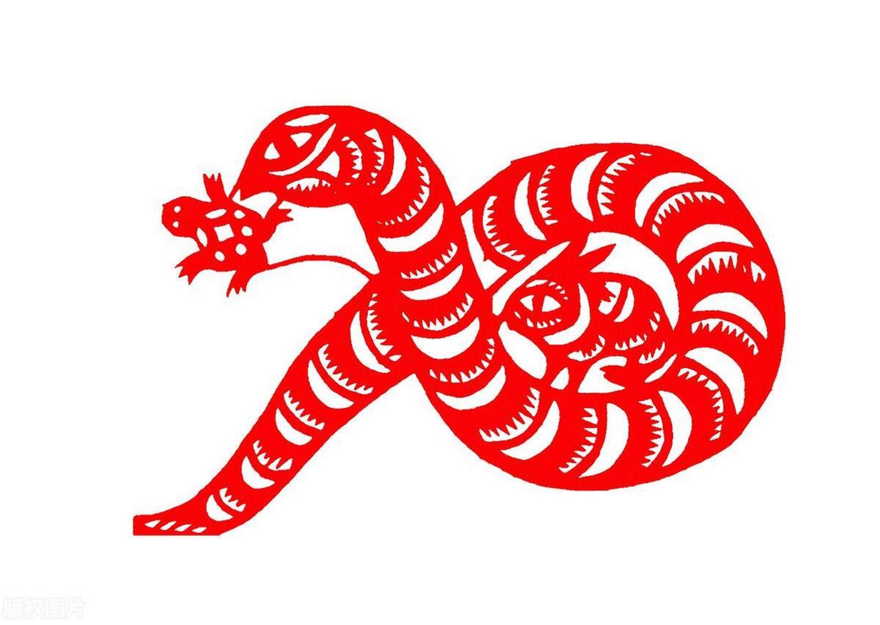 生肖蛇2024虎年运势(生肖蛇2024虎年运势及运程)