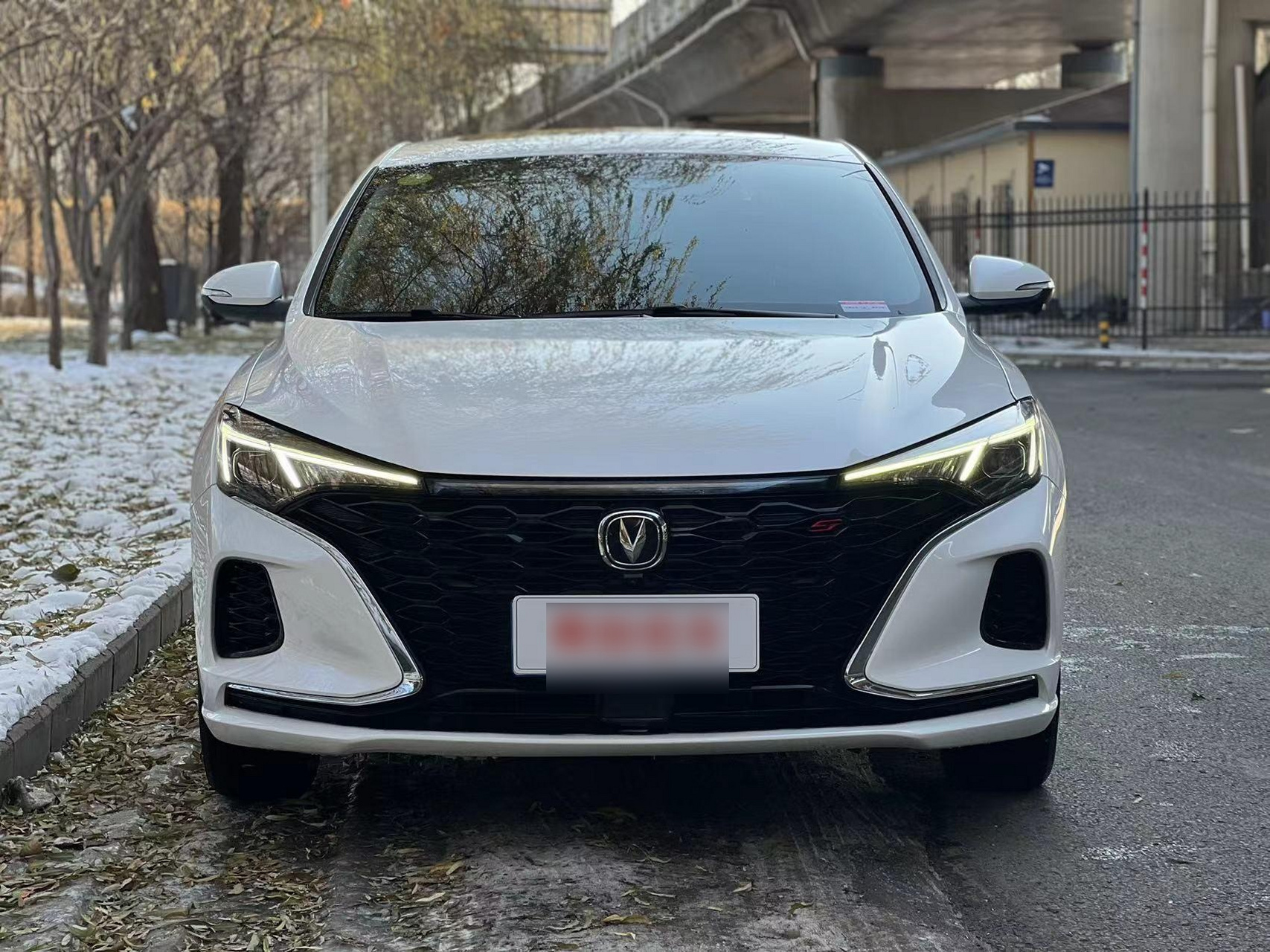 最新到家 21年登记上牌 21款长安逸动plus 蓝鲸1.