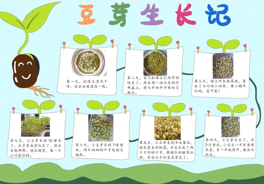 四年级植物观察日记200字(小学四年级植物观察日记范文400字)