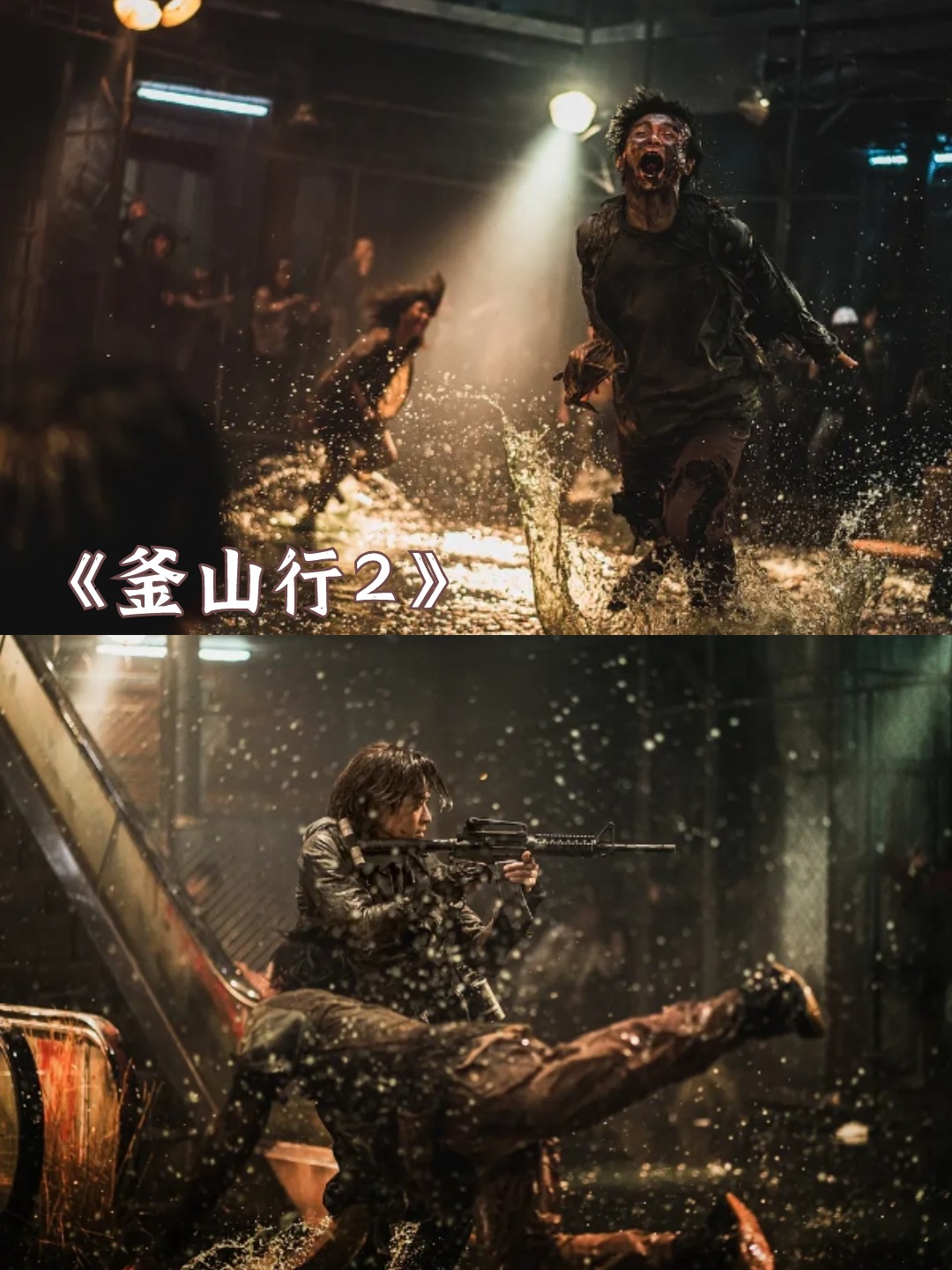 如果你对这些不死生物有着无法抗拒的热爱,那就不要错过这些电影啦!